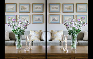 成都別墅華僑城東岸簡美裝修風(fēng)格案例